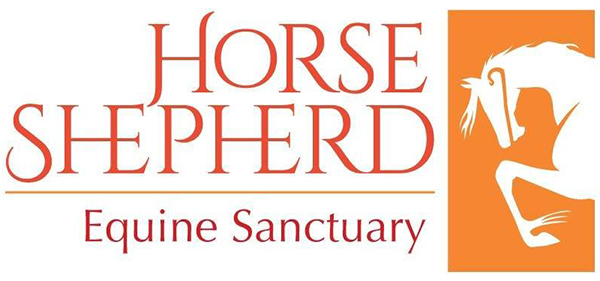 Horse Shepherd