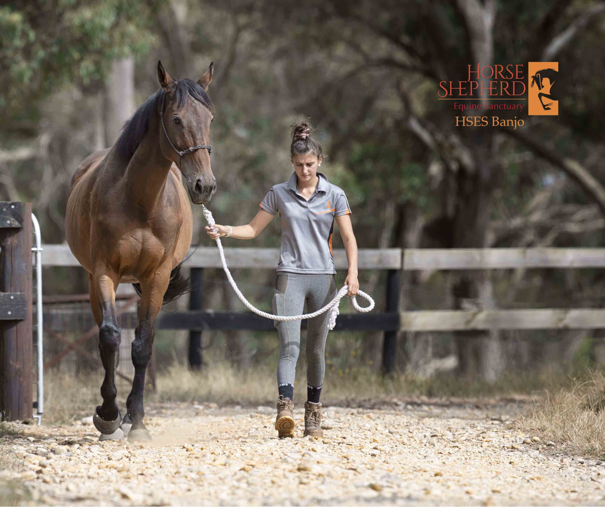 Banjo Horse Shepherd